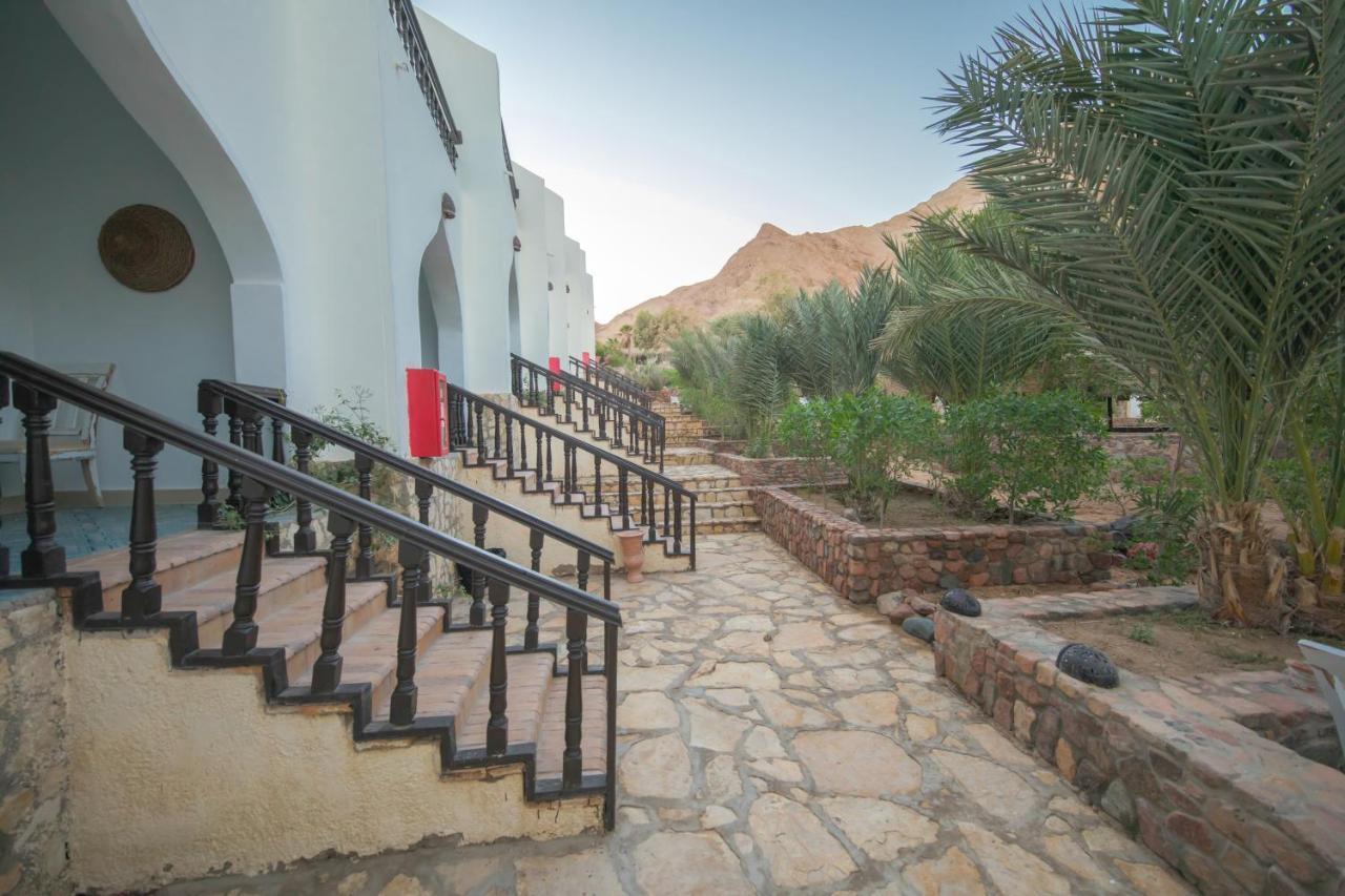 The Bedouin Moon Hotel Дахаб Екстериор снимка